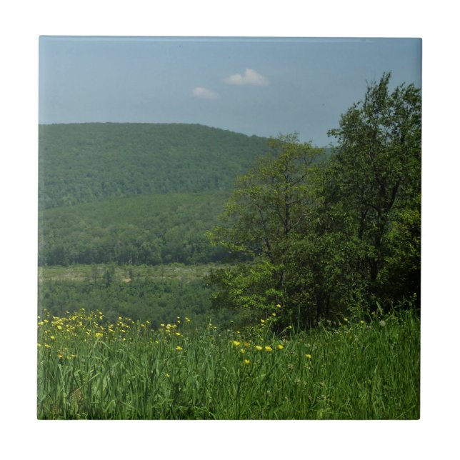 Fotografia de Verão de Laurel Highlands Pensilvâni (Frente)