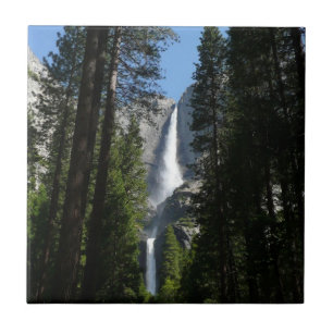 Fotografia de Yosemite Falls and Woods