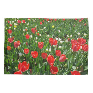 Fotografia do Campo da Flor Vermelha Tulip
