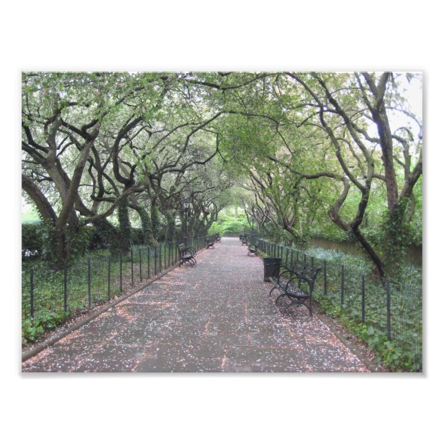 Fotografia do Parque Central do Jardim Conservatór (Frente)