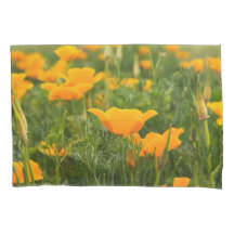Fotografia do Patch da California Poppy