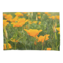 Fotografia do Patch da California Poppy