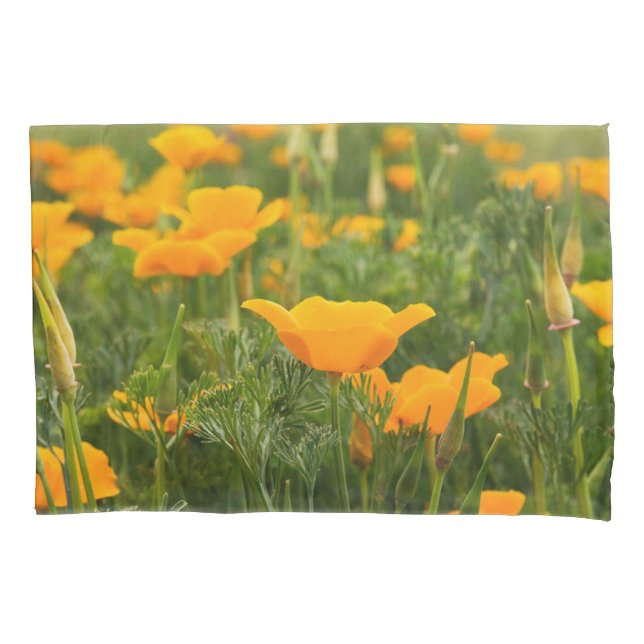 Fotografia do Patch da California Poppy (Frente)