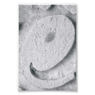 Fotografia E4 4x6 preto e branco da letra do