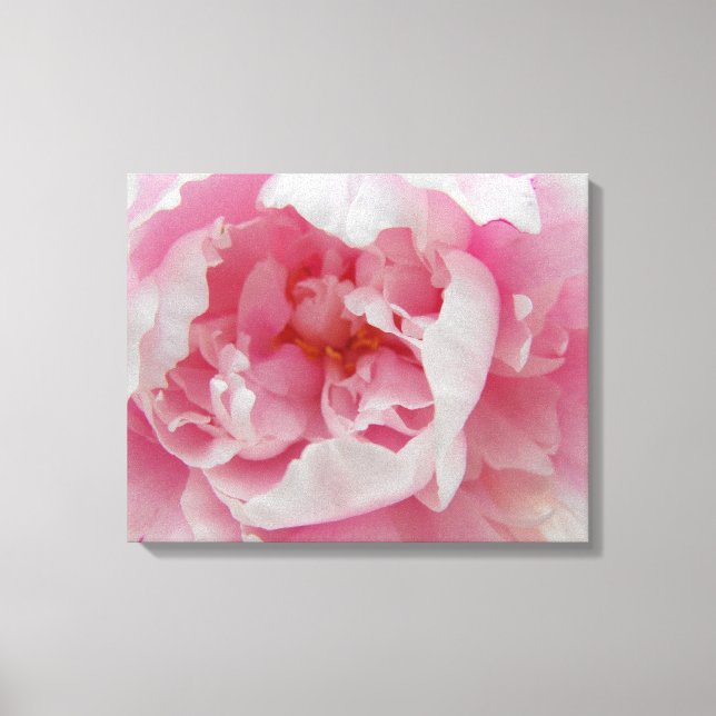 Fotografia Elegante de Pênia Rosa Suave na Canvas (Frente)