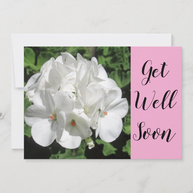 Fotografia Floral Branca (Frente)