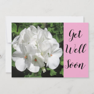 Fotografia Floral Branca