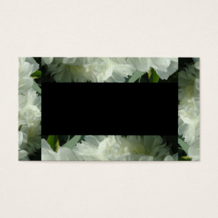 Fotografia floral branca de pénia branca Elegante