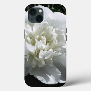 Fotografia floral branca de pénia branca Elegante