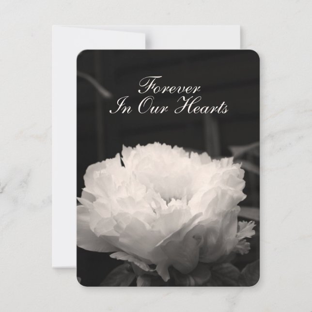 Fotografia floral da peônia 1 anúncio fúnebre (Frente)