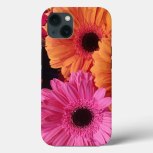 Fotografia Floral Moderna Rosa e Gerber Laranja