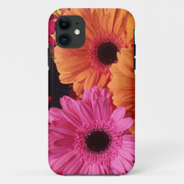 Fotografia Floral Moderna Rosa e Gerente Laranja