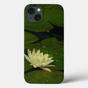 Fotografia Floral Pacífica Branca I