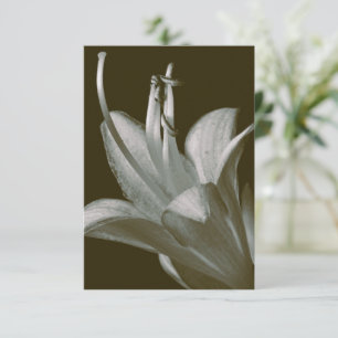 Fotografia Hosta Flower, Elegante Vintage Sepia