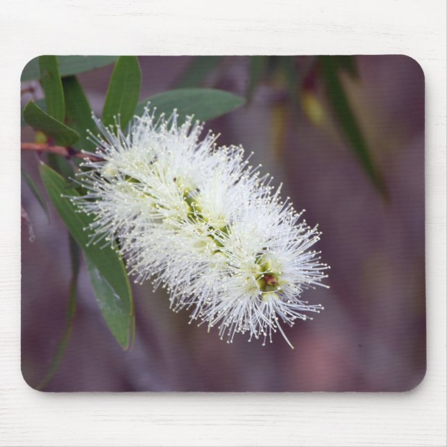 Fotografia macro em um mouse pad (Frente)