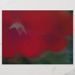 Fotografia moderna vermelha brilhante das flores