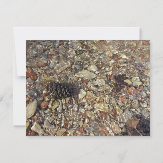 Fotografia natural de Taylor Creek (Frente)