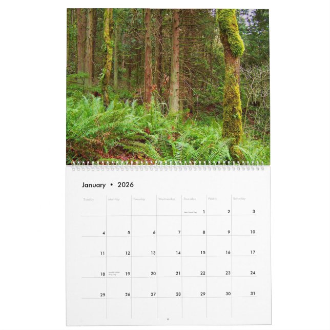 Fotografia pelo calendário de Chris 2011 (Jan 2026)