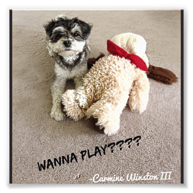 Fotografia personalizada de carmim 6x6 (Frente)