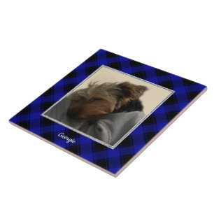 Fotografia personalizada e cômoda Xadrez azul e pr