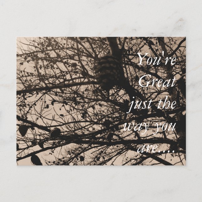 Fotografia personalizável do cartão postal (Frente)