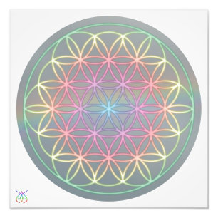 Fotografia poster ~ healingEnergy “Flower Of Lif