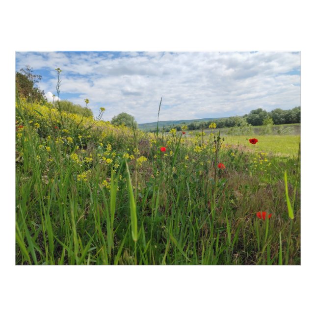 Fotografia primavera (Frente)