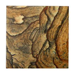 Fotografia rara do macro do jaspe da paisagem