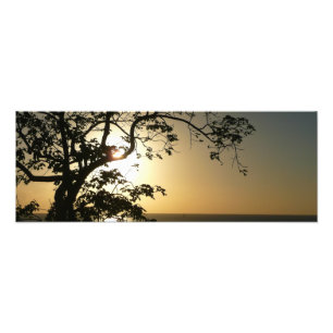 Fotografia Tropical II através do Sol