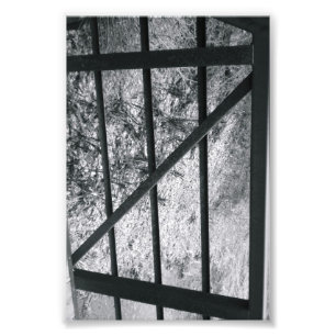 Fotografia Z4 4x6 preto e branco da letra do