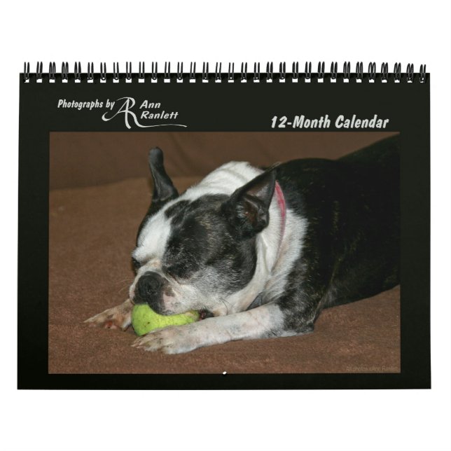 Fotografias Animais - Calendário De 12 Meses (Capa)