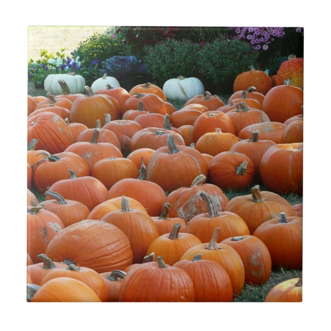 Fotografias de Colheita de outono e Mães (Frente)