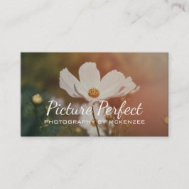 Fotógrafo,Fotografia, Cartão de Visita