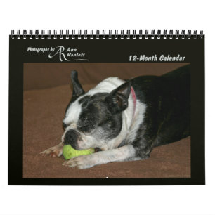 Fotos animais - calendário de 12-Mês