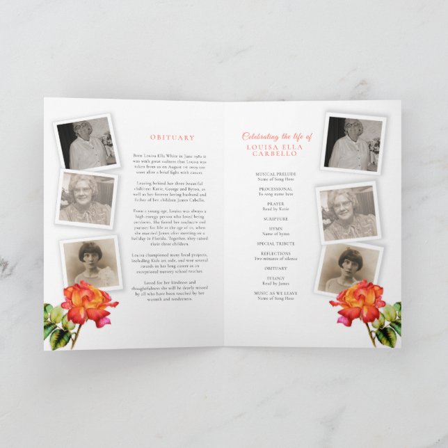 Fotos de rosa de striping do programa de serviço f (Interior)