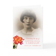 Fotos de rosa de striping do programa de serviço f