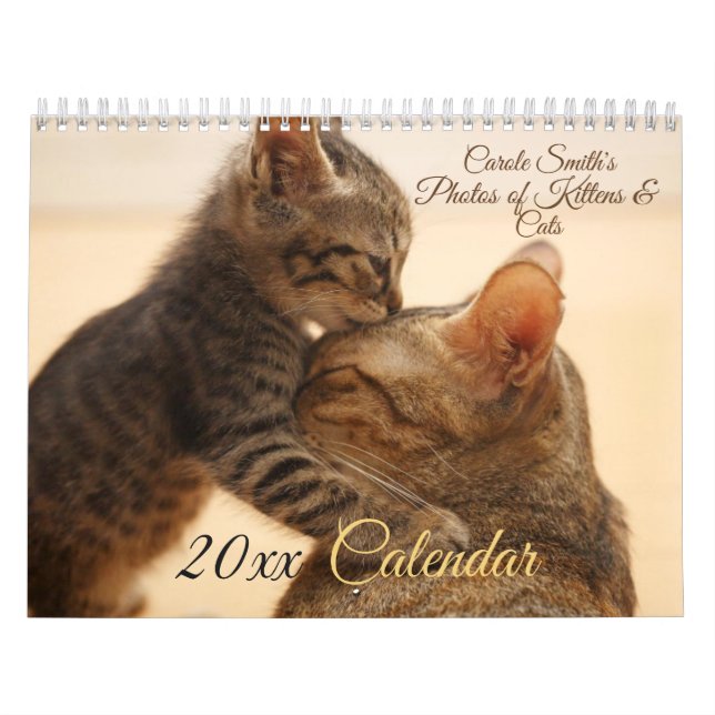 Fotos do Calendário 20XX de Gatinhos (Capa)