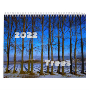 Fotos em árvore exclusivas do Calendário Mundial