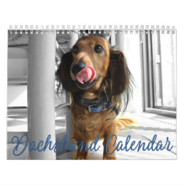 Fotos personalizadas do Calendário Dachshund 2023