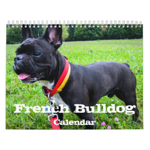 Fotos Personalizadas do Calendário do Bulldog Fran