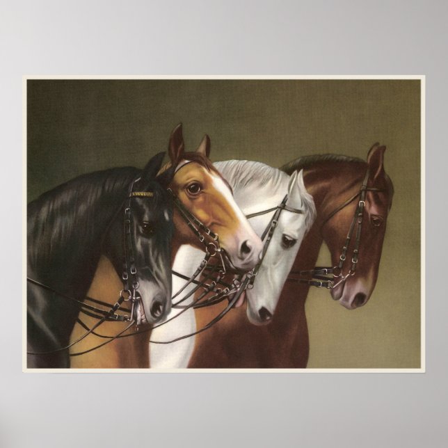 FOUR HORSES Fine Art Poster (Frente)