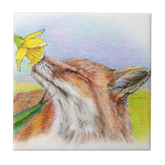 Fox de Fred