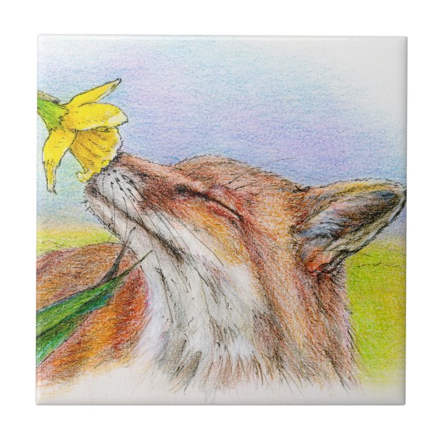 Fox de Fred (Frente)