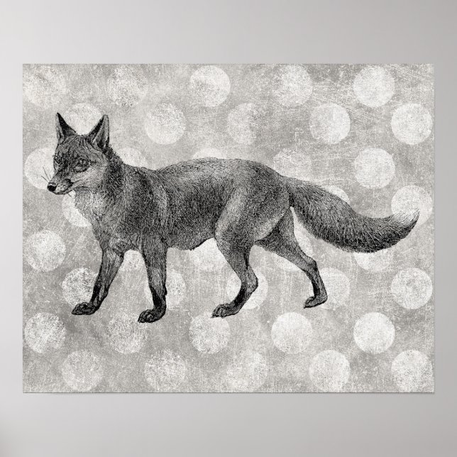Fox Poster - Vintage Illustration Impressão (Frente)
