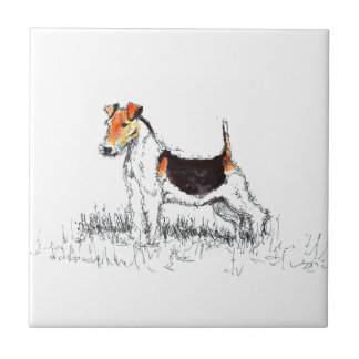 Fox Terrier