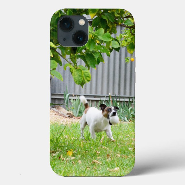 Fox Terrier Scare Face, iPhone 13 case (Verso)