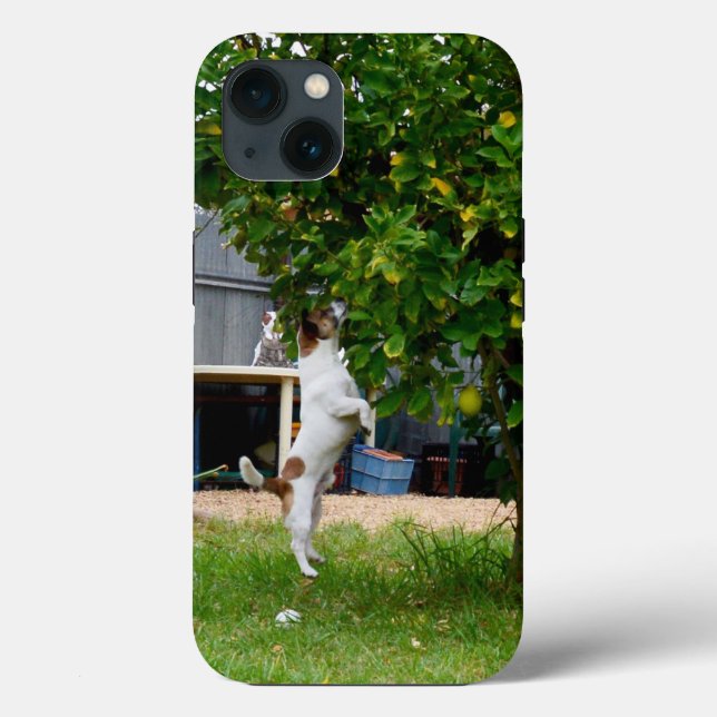 Fox Terrier The Leap, iPhone 13 Case (Verso)