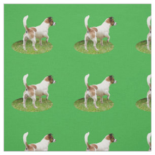 Fox Terrier The Stance, Tecido