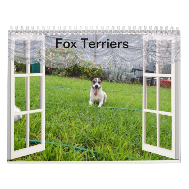 Fox Terrier vem jogar, calendário (Capa)