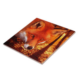 Fox vermelho
